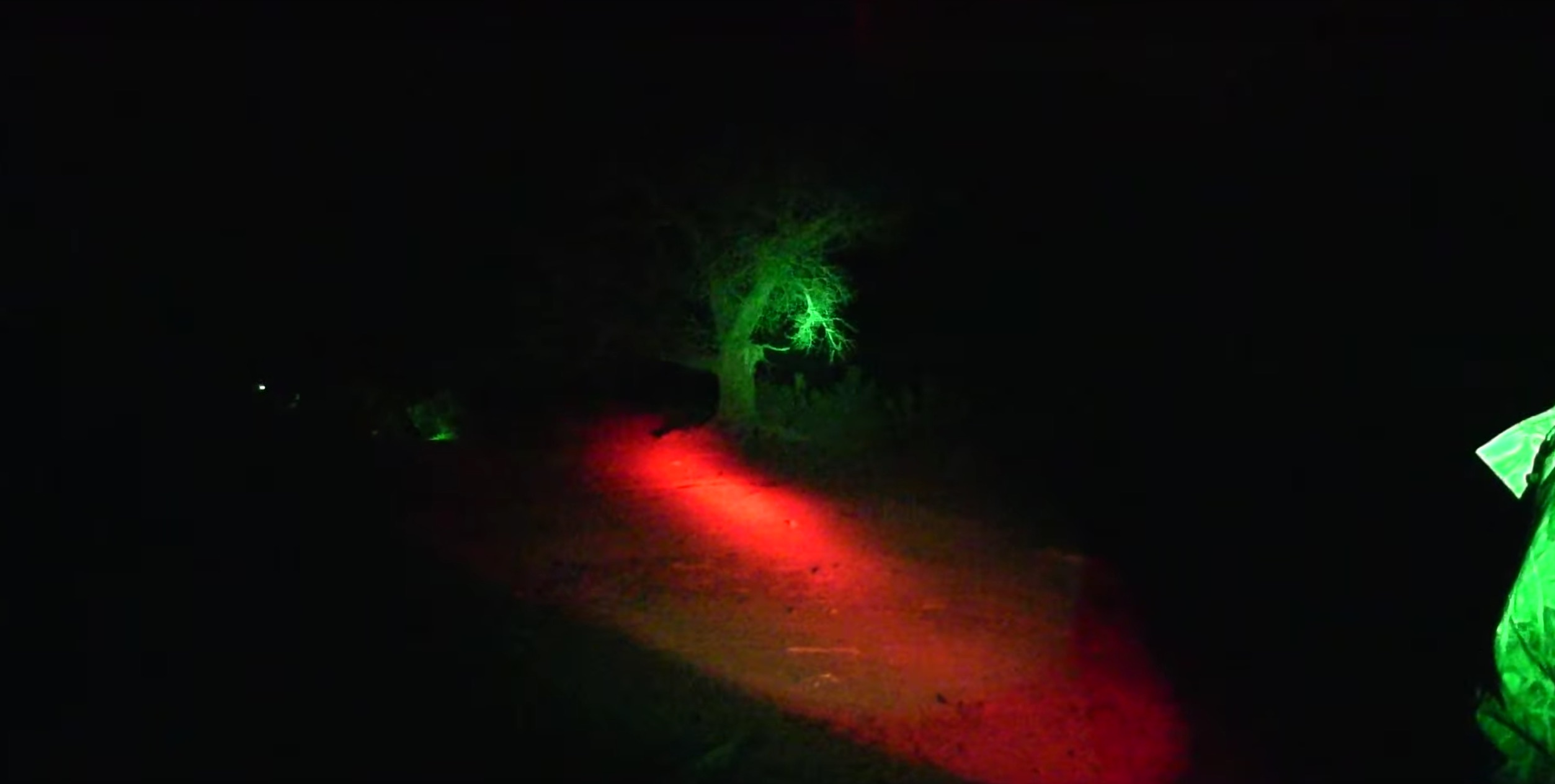 predator lights colors